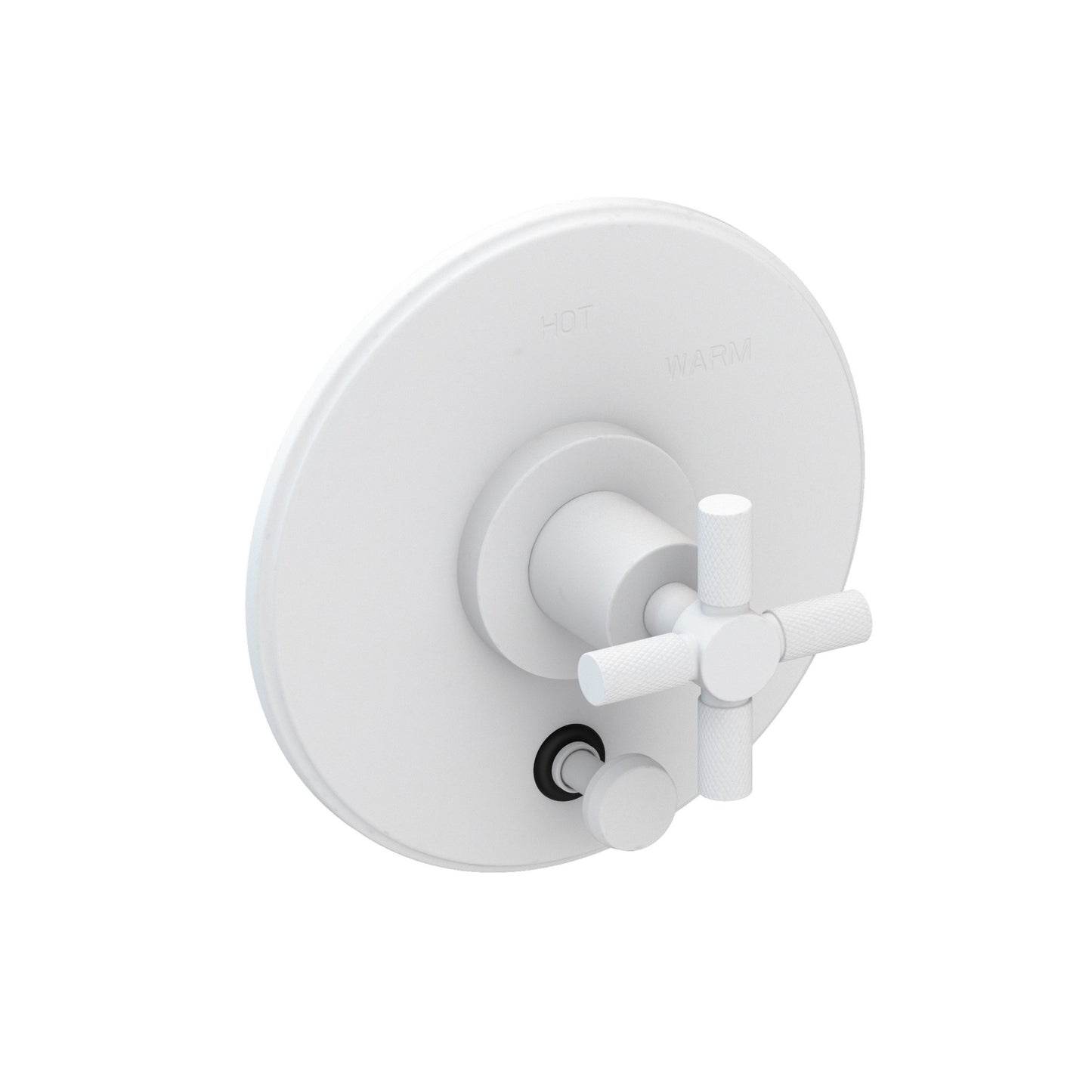 Newport Brass 5-3302BP Muncy Balanced Pressure Tub & Shower Diverter Plate with Handle. Less Showerhead, arm and flange.
