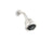 Kallista P21500-00 Traditional Multifunction Showerhead With Arm