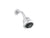 Kallista P21500-00 Traditional Multifunction Showerhead With Arm