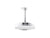 Kallista P21510-00 Traditional Small Rain Showerhead, 8 (2.5 Gpm)