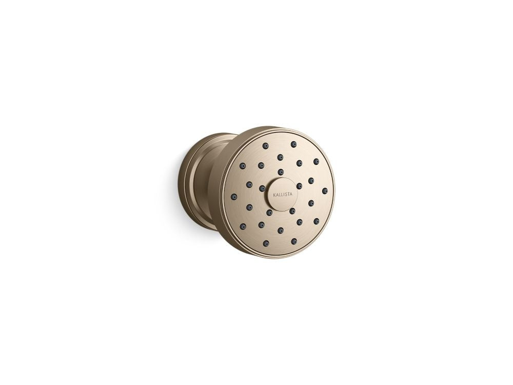 Kallista P80261-00 Transitional Bodyspray
