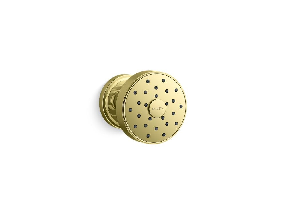 Kallista P80261-00 Transitional Bodyspray