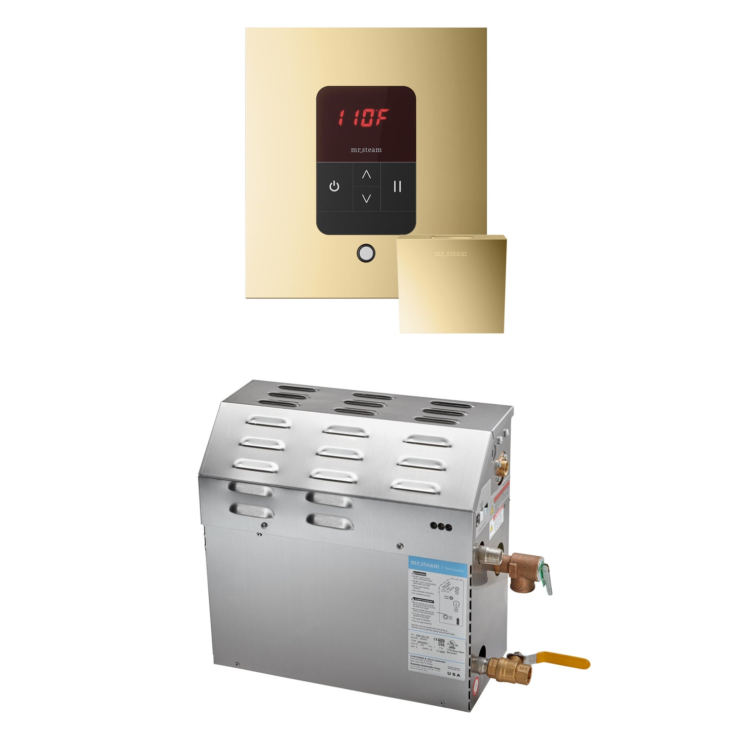 Mr. Steam R06C10B MS 6 kW (6000 W) Steam Shower Generator Package with square iTempo Control