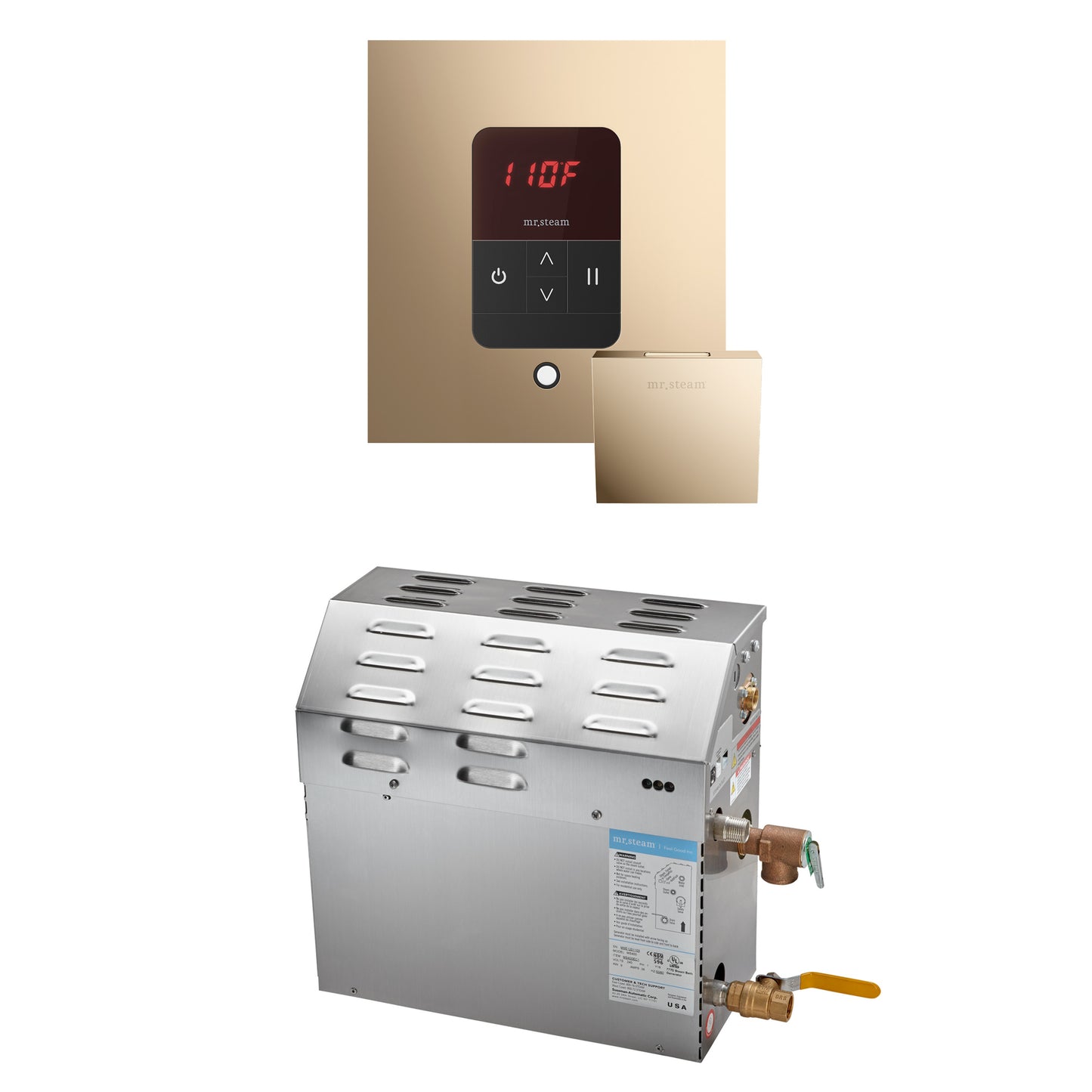 Mr. Steam R09C10B MS 9 kW (9000 W) Steam Shower Generator Package with square iTempo Control