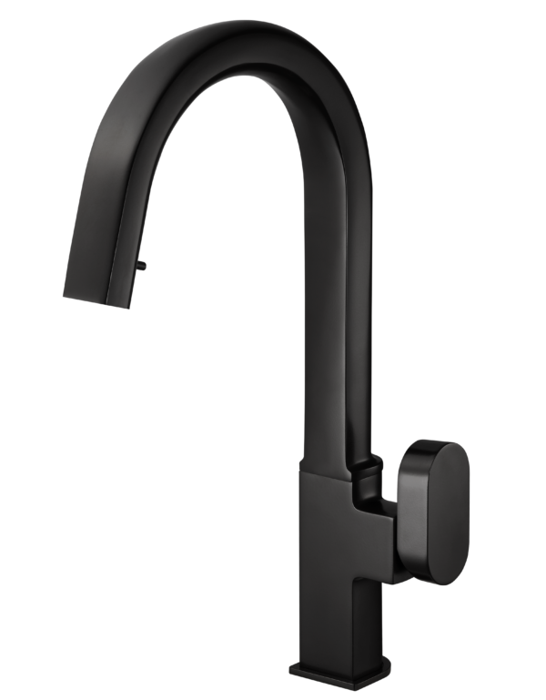 Houzer REPD-1000 Revel Dual Function Hidden Pull Down Kitchen Faucet