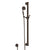Rohl 1272E Handshower Set With 39" Grab Bar and Single Function Handshower