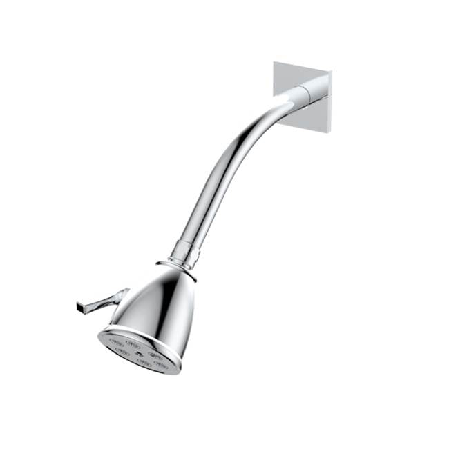 Santec 927917 Standard 6 Port Showerhead with Arm and Flange - Parent