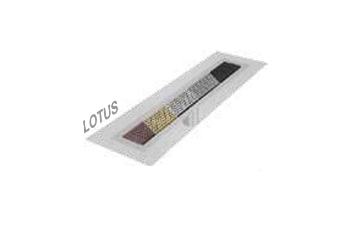 QM Drains SP56.33.400.48F Shower Pan Curbless Kit 56" With A 48" Lotus Linear Drain Flange Edge