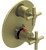 Rubinet T2QGNC Temperature Control Valve With Stop Two Way Diverter With ShutOff Trim Only - Parent