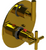 Rubinet T2QGNL Temperature Control Valve With Stop Two Way Diverter With ShutOff Trim Only