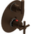 Rubinet T2QGNL Temperature Control Valve With Stop Two Way Diverter With ShutOff Trim Only