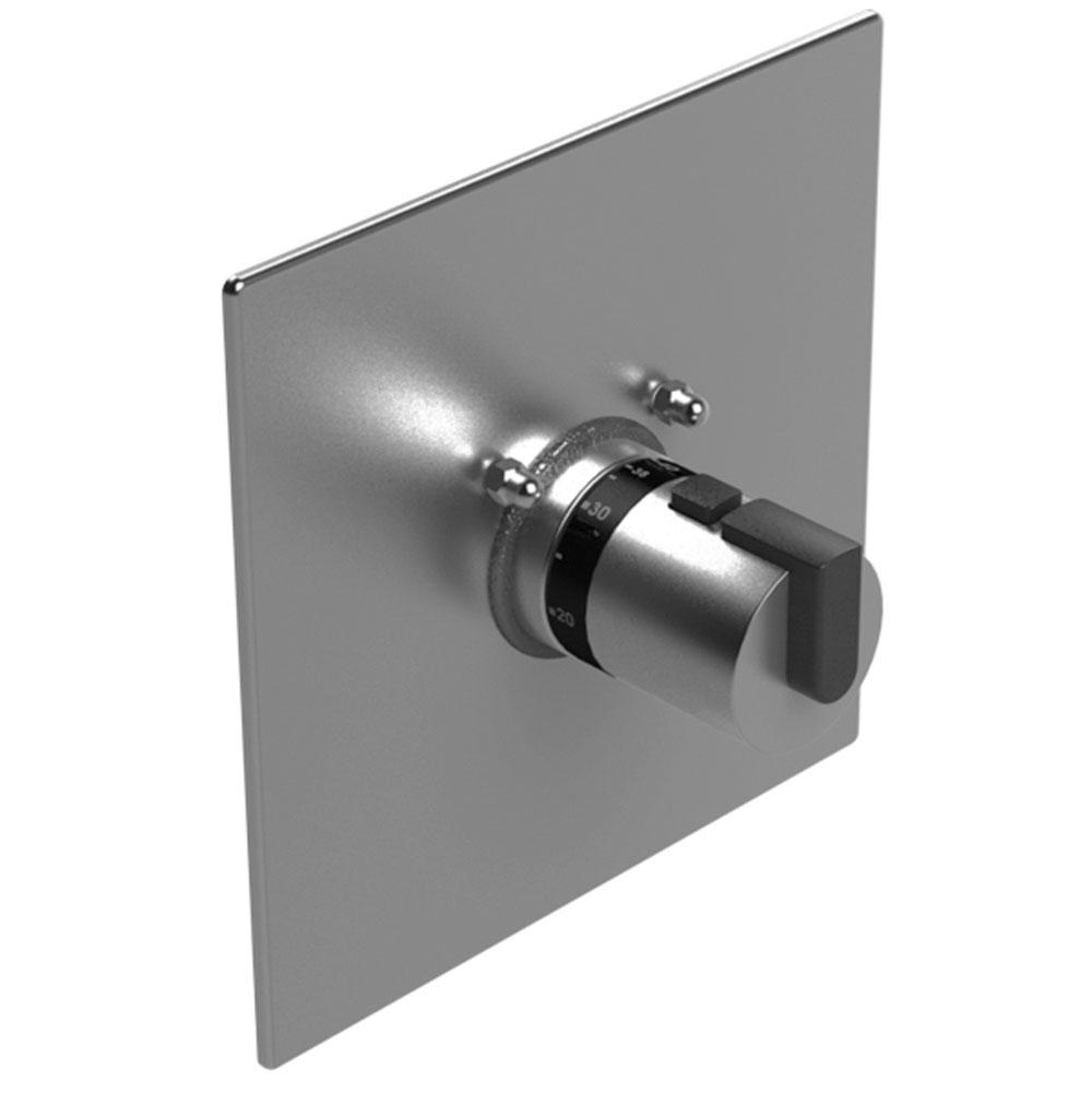 Rubinet T4MRT0 Temperature Control Valve With Stops, Trim Only
