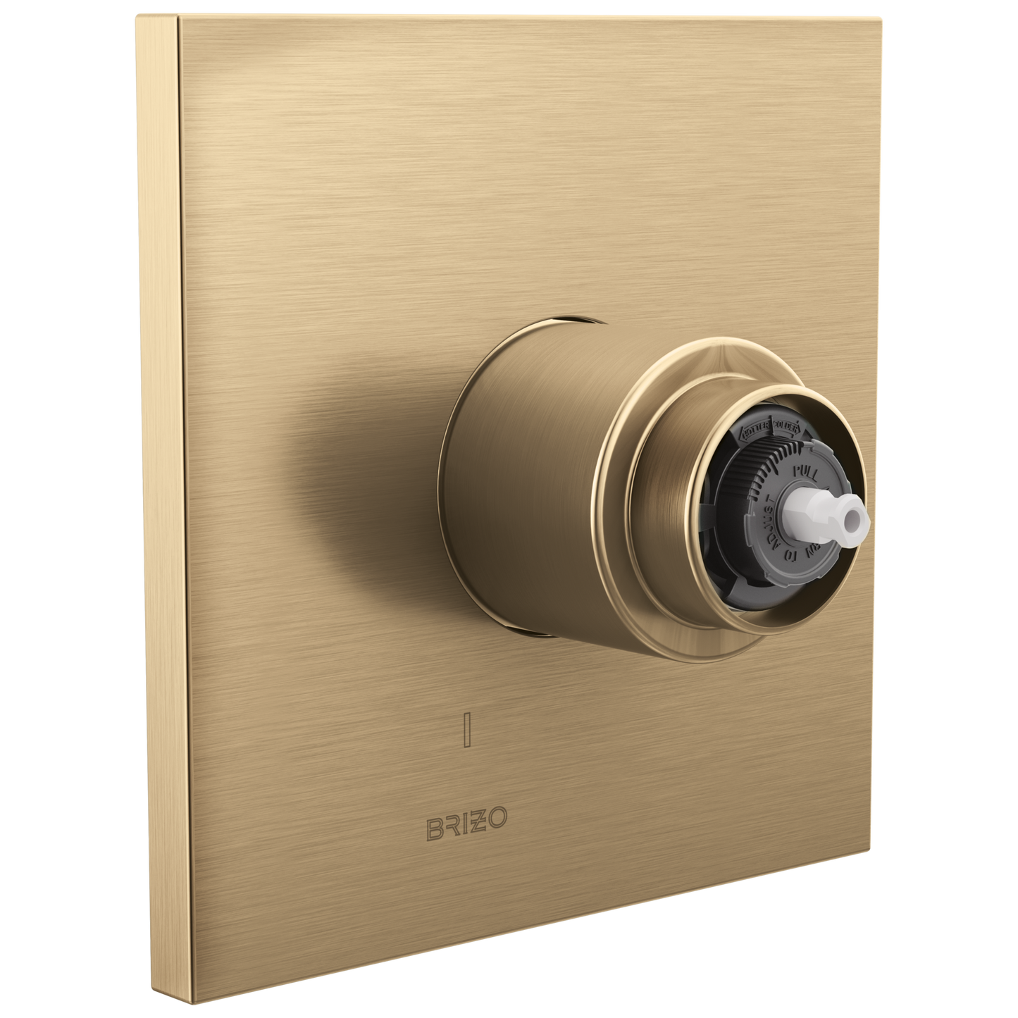 Brizo T60P022-LHP Frank Lloyd Wright Pressure Balance Valve Only Trim - Less Handle - Parent