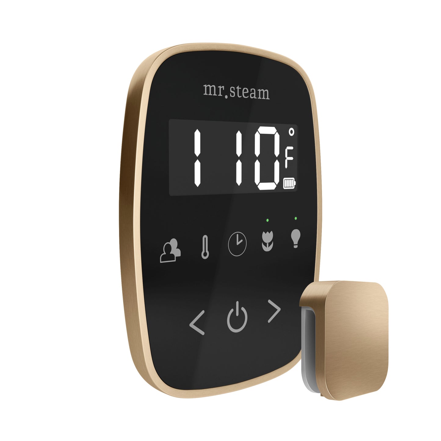 Mr. Steam TF TempoFlex Steam Shower Control and Steamhead - Parent