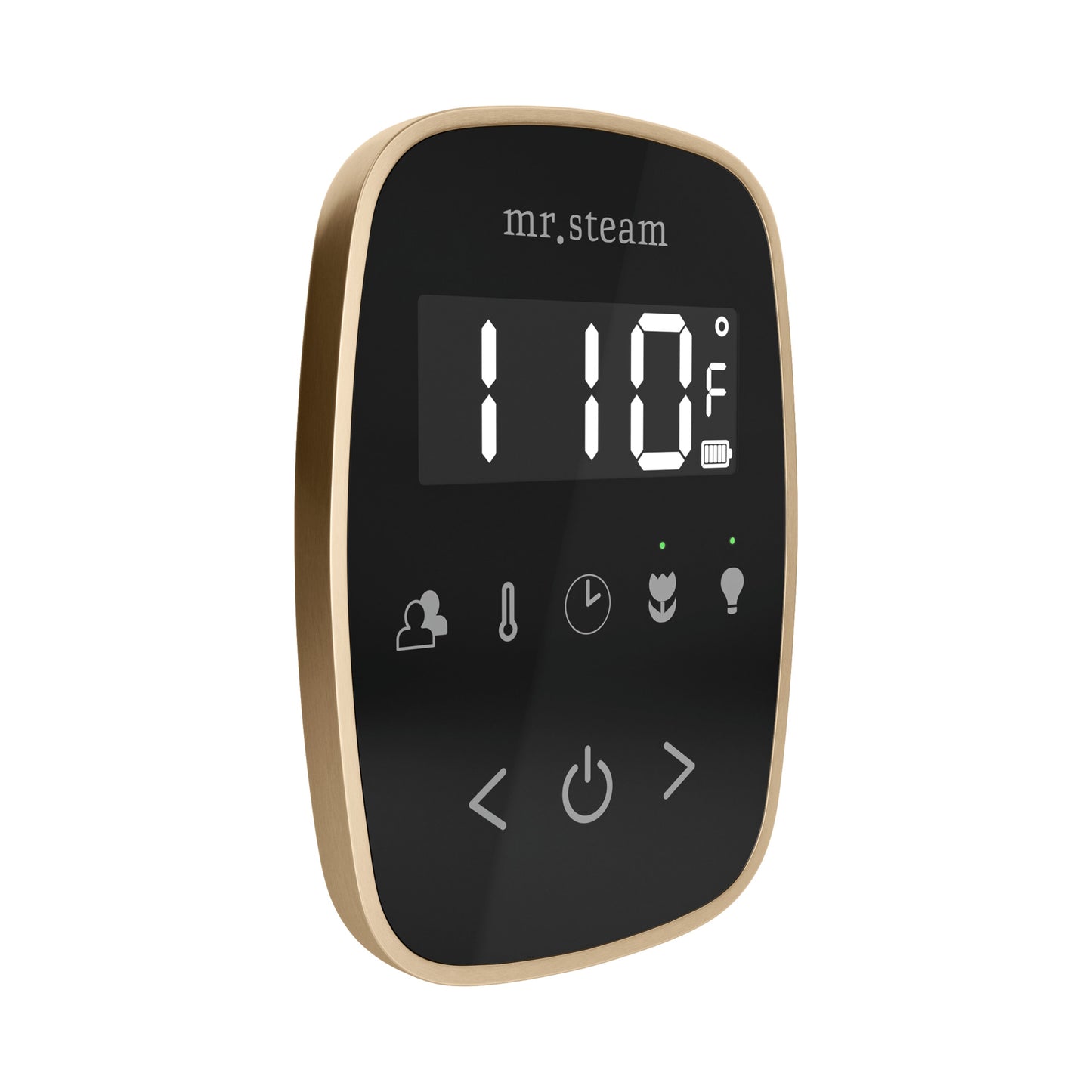 Mr. Steam TF TempoFlex Steam Shower Control and Steamhead - Parent