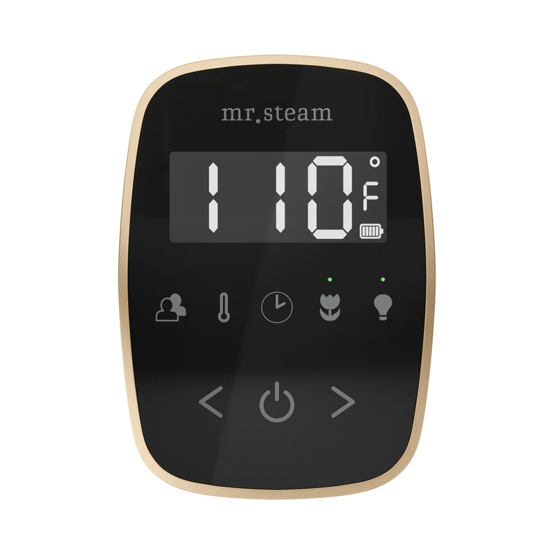 Mr. Steam TF TempoFlex Steam Shower Control and Steamhead - Parent