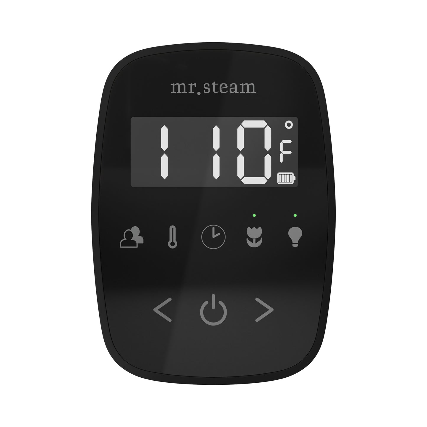 Mr. Steam TF TempoFlex Steam Shower Control and Steamhead