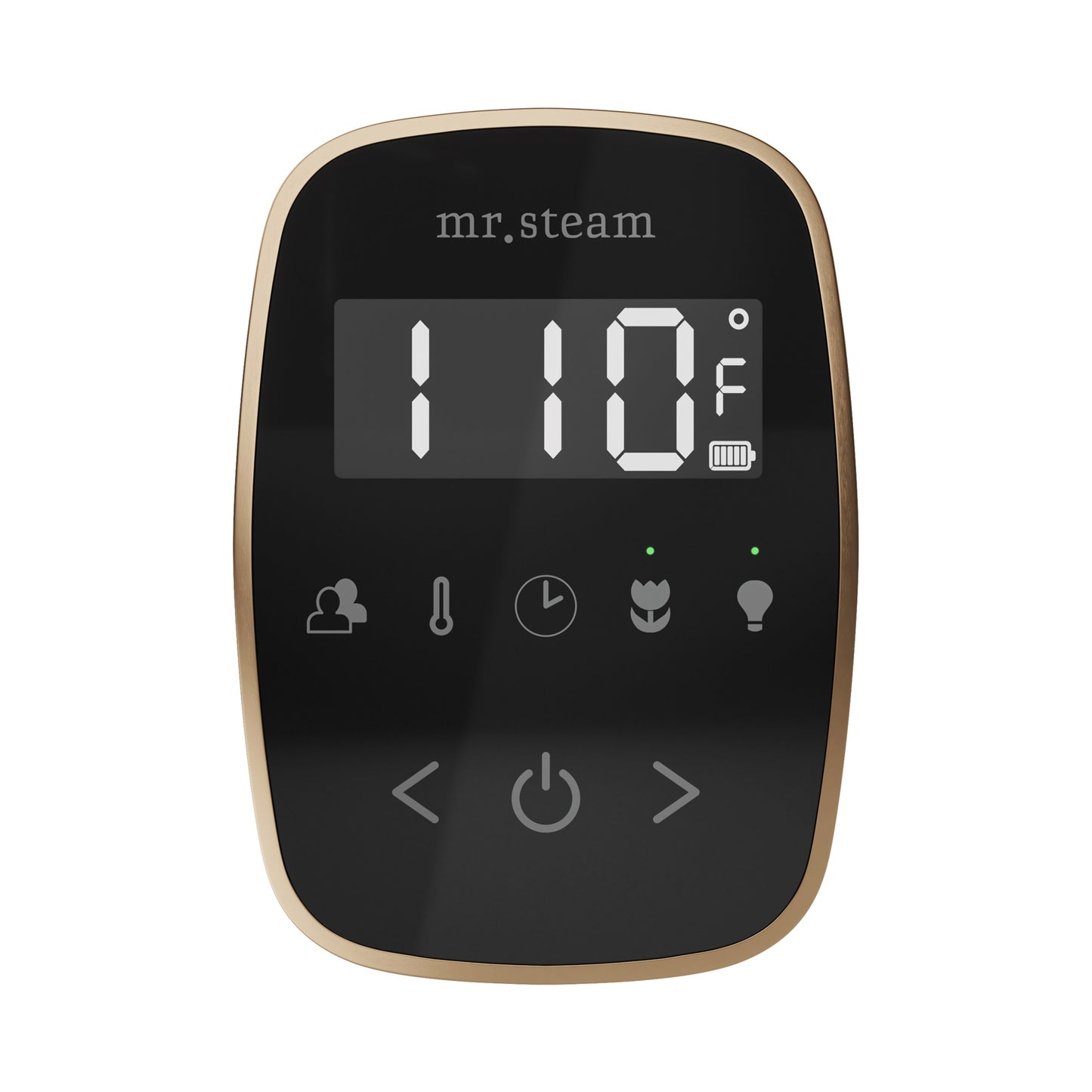 Mr. Steam TF TempoFlex Steam Shower Control and Steamhead