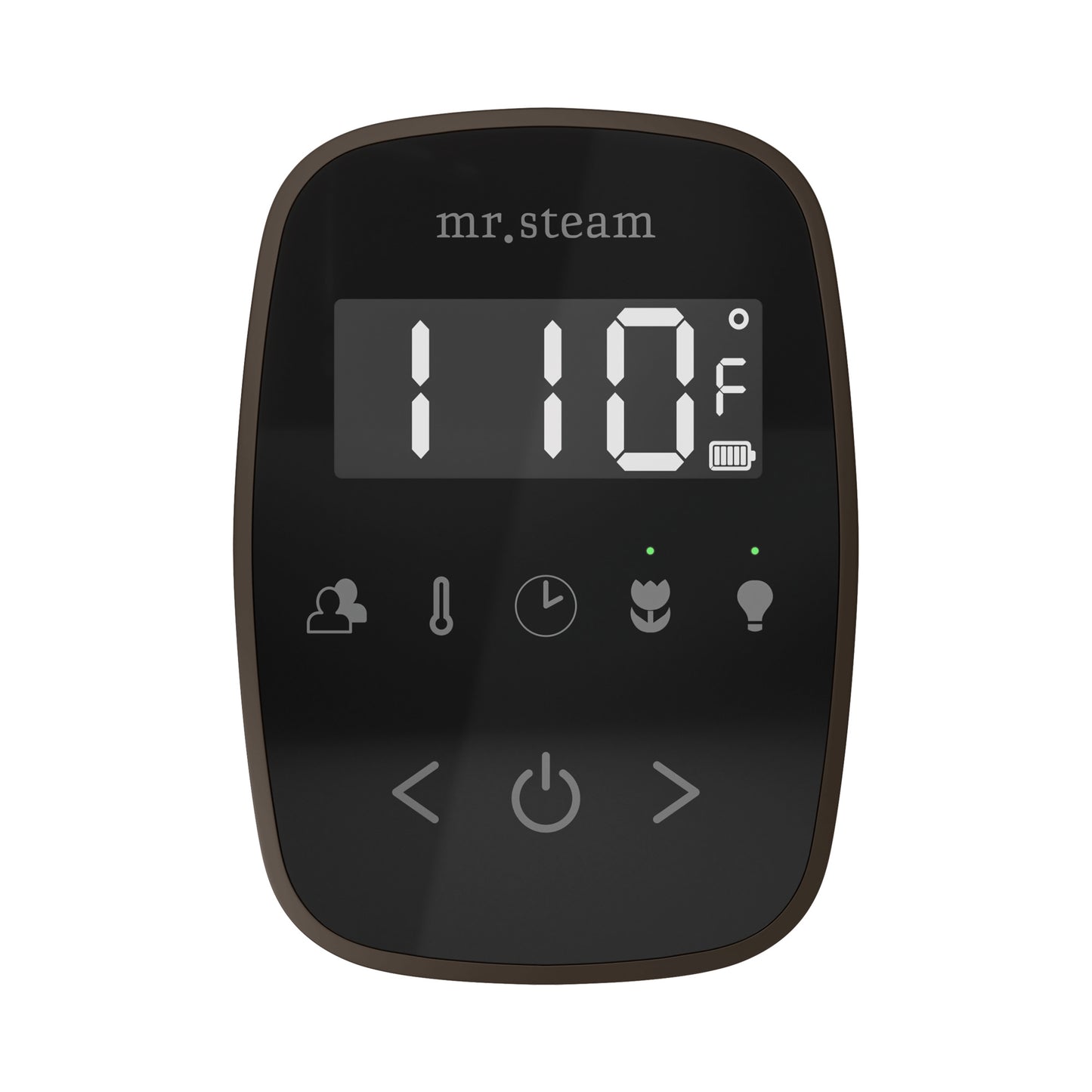 Mr. Steam TF TempoFlex Steam Shower Control and Steamhead