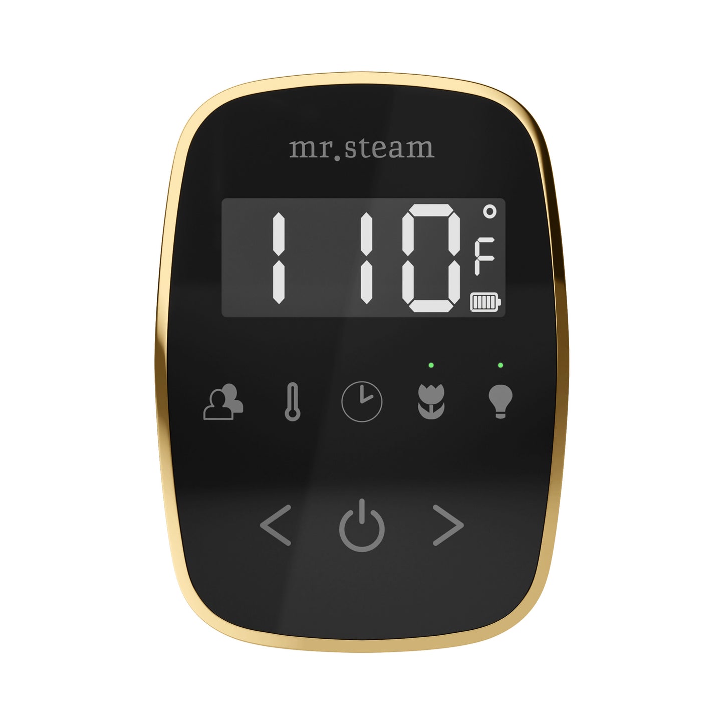 Mr. Steam TF TempoFlex Steam Shower Control and Steamhead