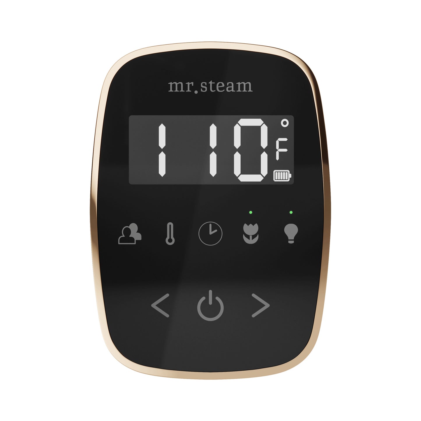 Mr. Steam TF TempoFlex Steam Shower Control and Steamhead