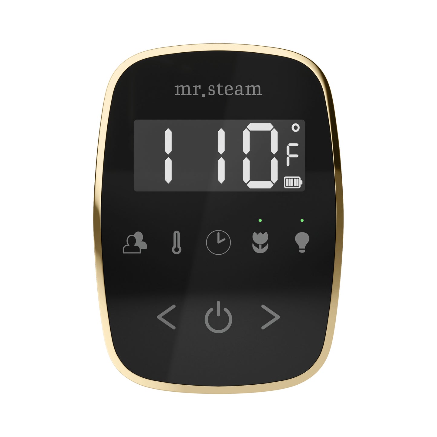Mr. Steam TF TempoFlex Steam Shower Control and Steamhead