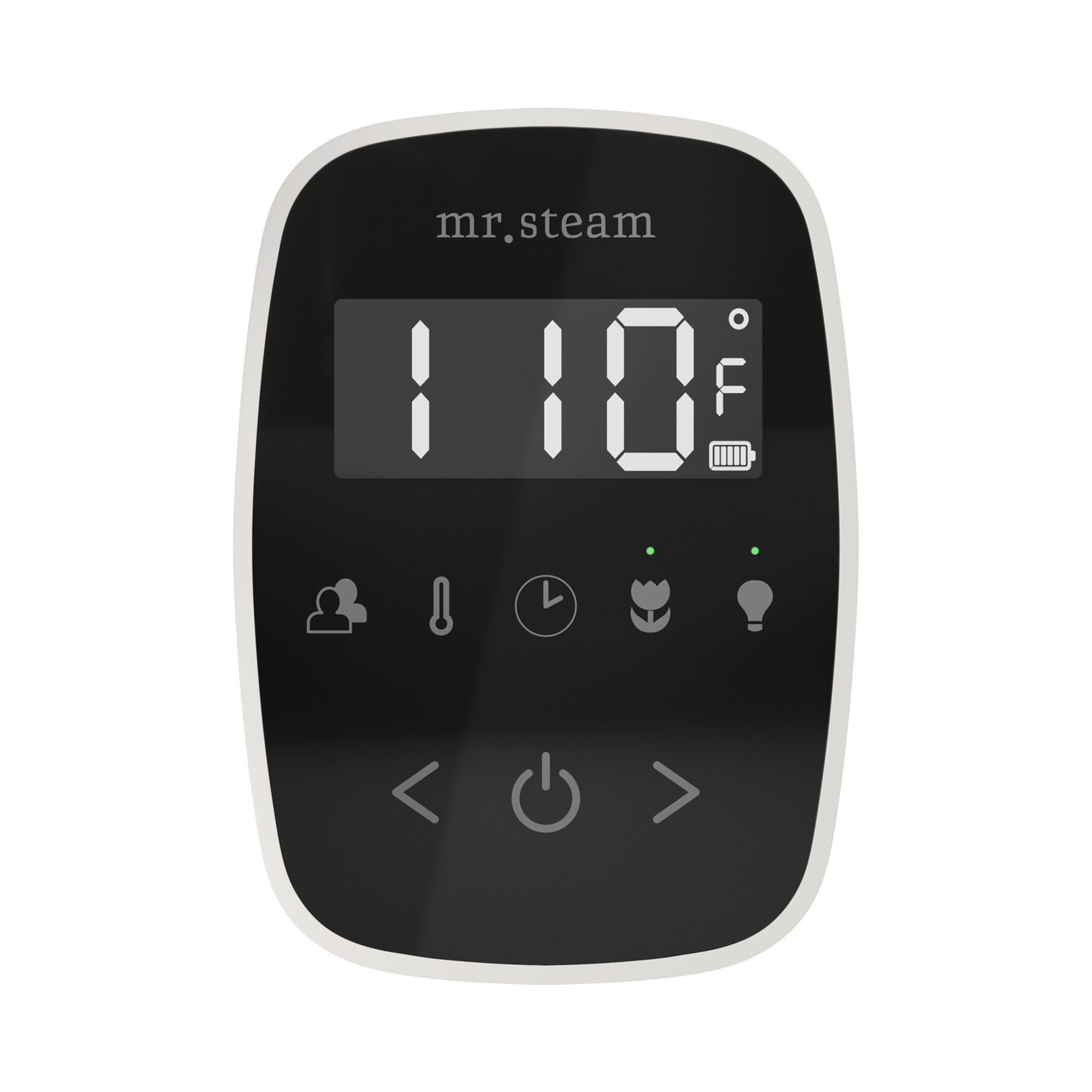 Mr. Steam TF TempoFlex Steam Shower Control and Steamhead
