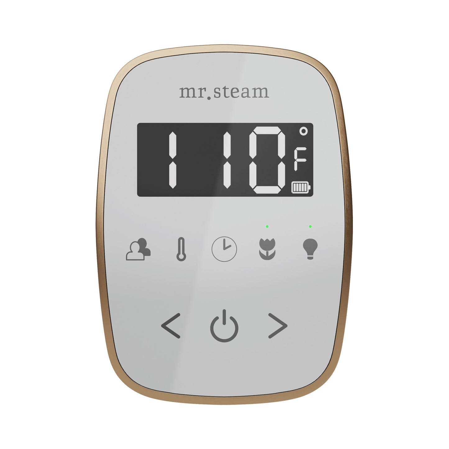 Mr. Steam TF TempoFlex Steam Shower Control and Steamhead