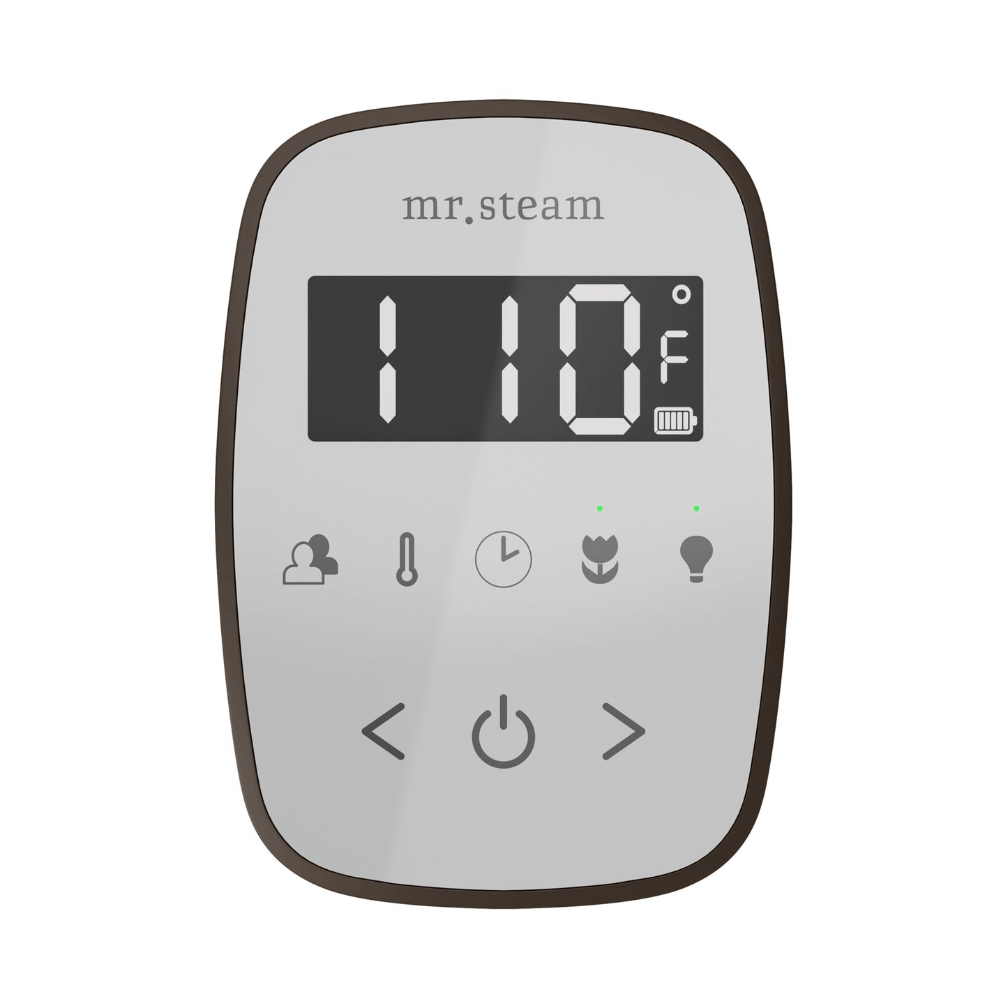 Mr. Steam TF TempoFlex Steam Shower Control and Steamhead
