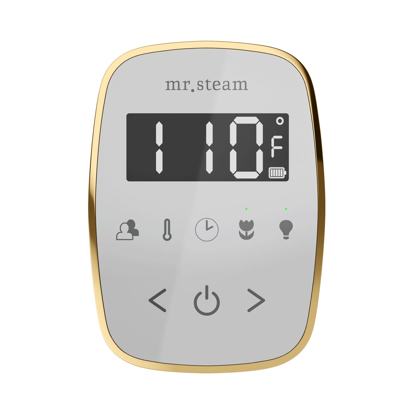 Mr. Steam TF TempoFlex Steam Shower Control and Steamhead