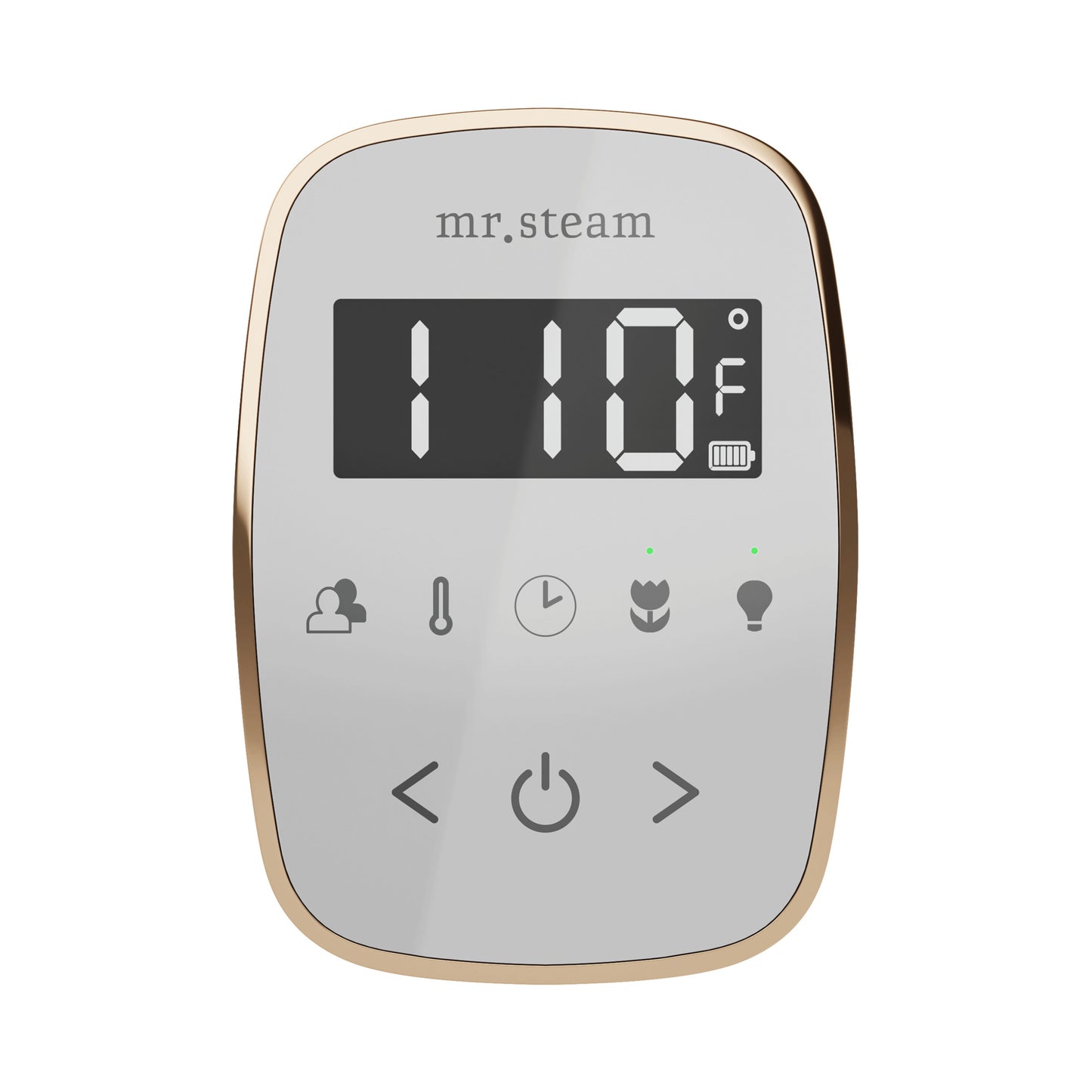 Mr. Steam TF TempoFlex Steam Shower Control and Steamhead