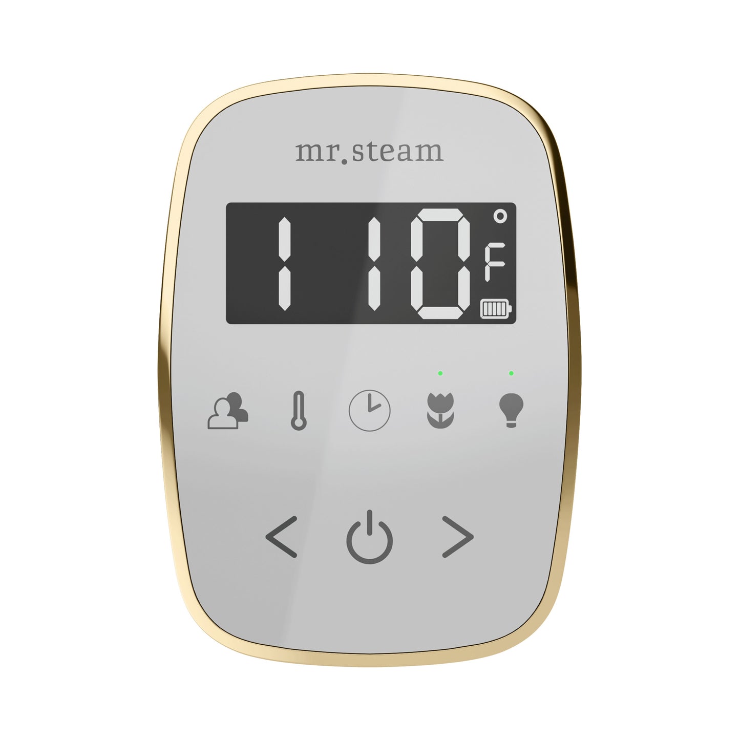 Mr. Steam TF TempoFlex Steam Shower Control and Steamhead