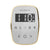 Mr. Steam TF TempoFlex Steam Shower Control and Steamhead