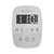 Mr. Steam TF TempoFlex Steam Shower Control and Steamhead