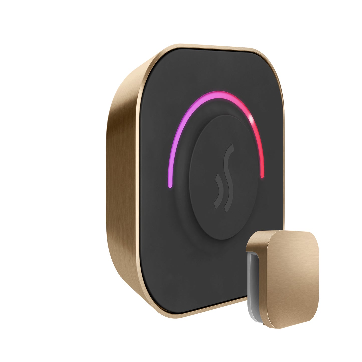 Mr. Steam TT TempoTouch Steam Shower Control and Steamhead - Parent