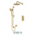 Tenzo PALPB32-20111 Shower Kit, T-Box 2 Functions Pressure Balance