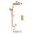Tenzo PALPB32-20112 Shower Kit, T-Box 2 Functions Pressure Balance