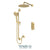 Tenzo PALT32-20112 Shower Kit, T-Box 2 Functions Thermo