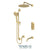 Tenzo PALT33-501125 Shower Kit, T-Box 3 Functions Thermo