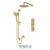 Tenzo PALT42-20111 Shower Kit, Extenza 2 Functions Thermo
