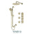 Tenzo PALT43-571112 Shower Kit, Extenza 3 Functions Thermo