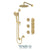 Tenzo PALT43-571168 Shower Kit, Extenza 3 Functions Thermo