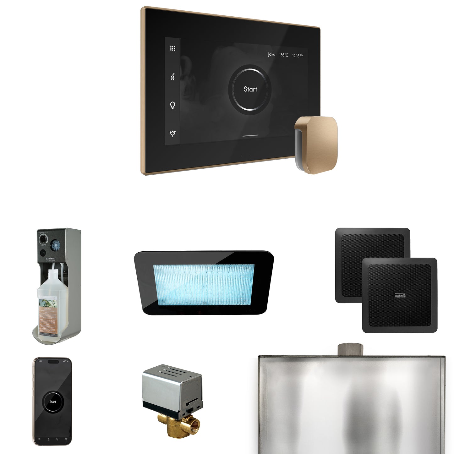 Mr. Steam XDRM2 XDream Steam Shower Control Package with iSteamX Control and Steamhead - Parent