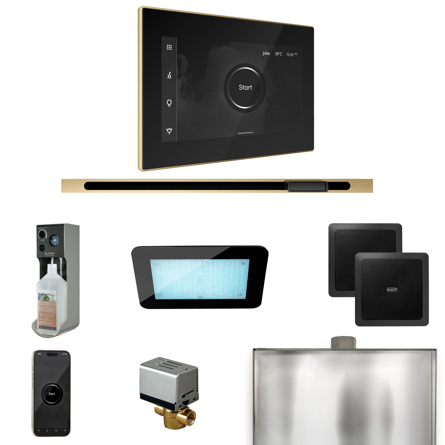 Mr. Steam XDRM2L XDream Steam Shower Control Package with iSteamX Control and Linear Steamhead