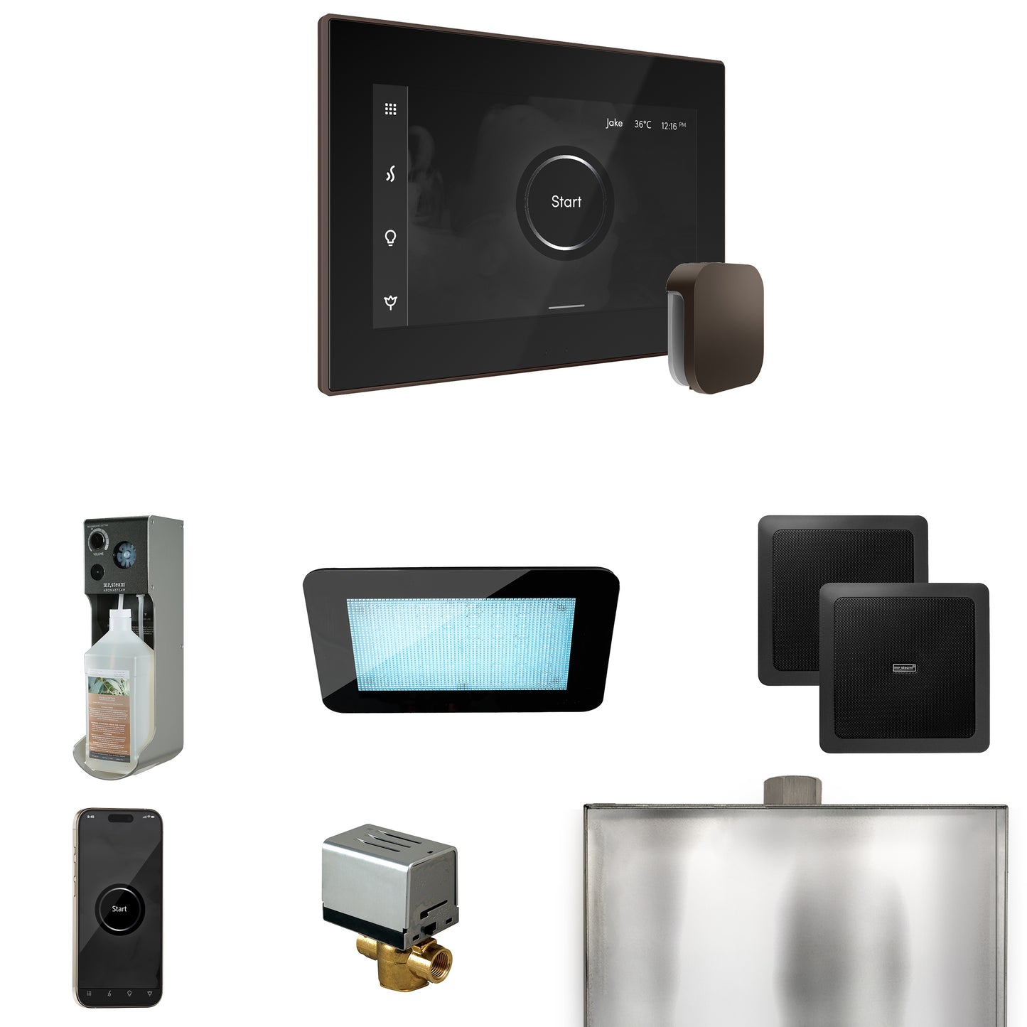 Mr. Steam XDRM2 XDream Steam Shower Control Package with iSteamX Control and Steamhead
