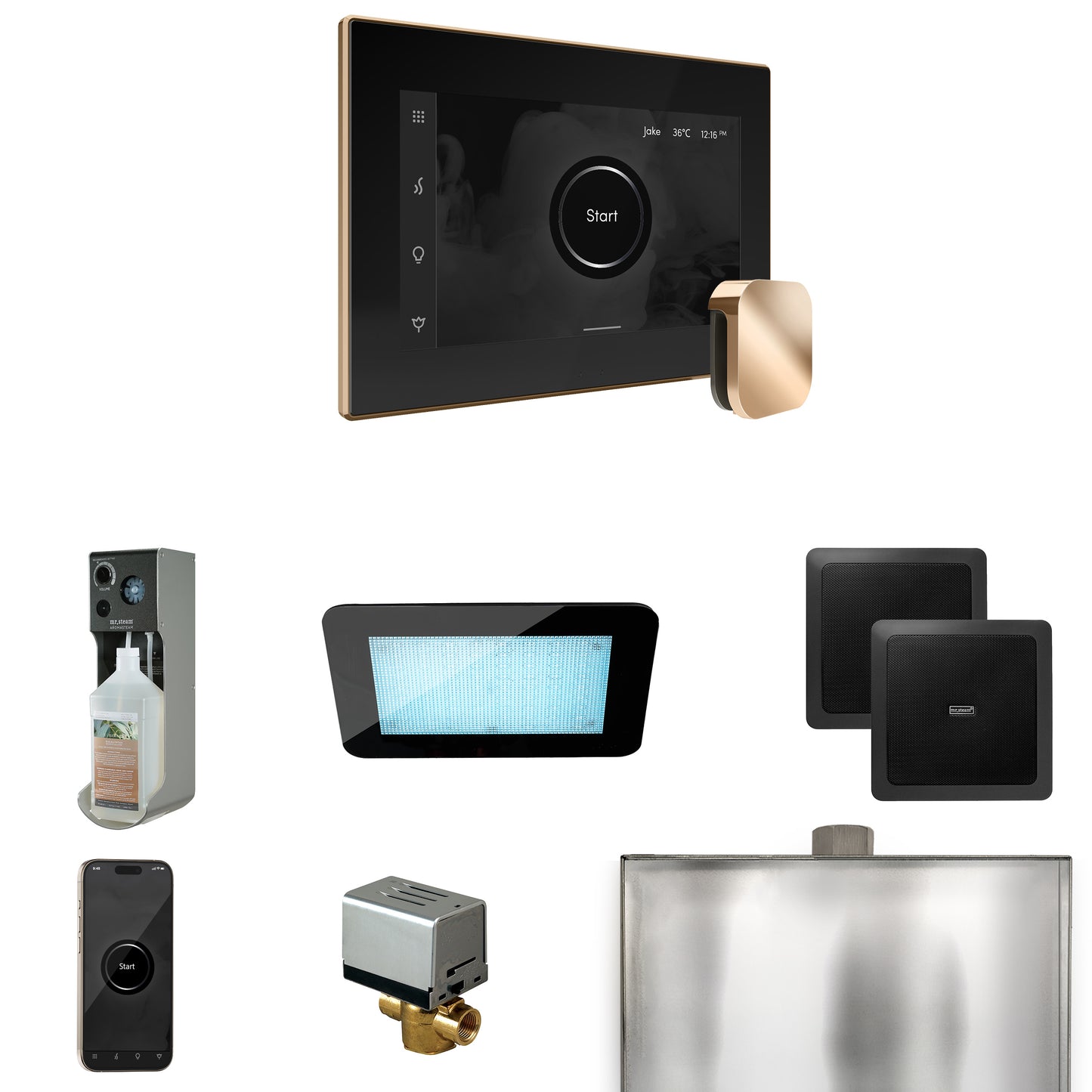 Mr. Steam XDRM2 XDream Steam Shower Control Package with iSteamX Control and Steamhead
