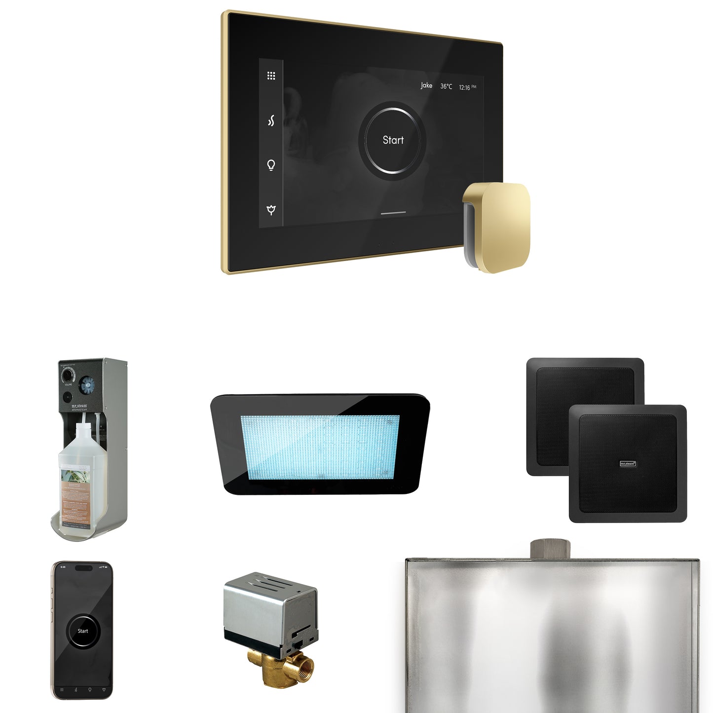 Mr. Steam XDRM2 XDream Steam Shower Control Package with iSteamX Control and Steamhead