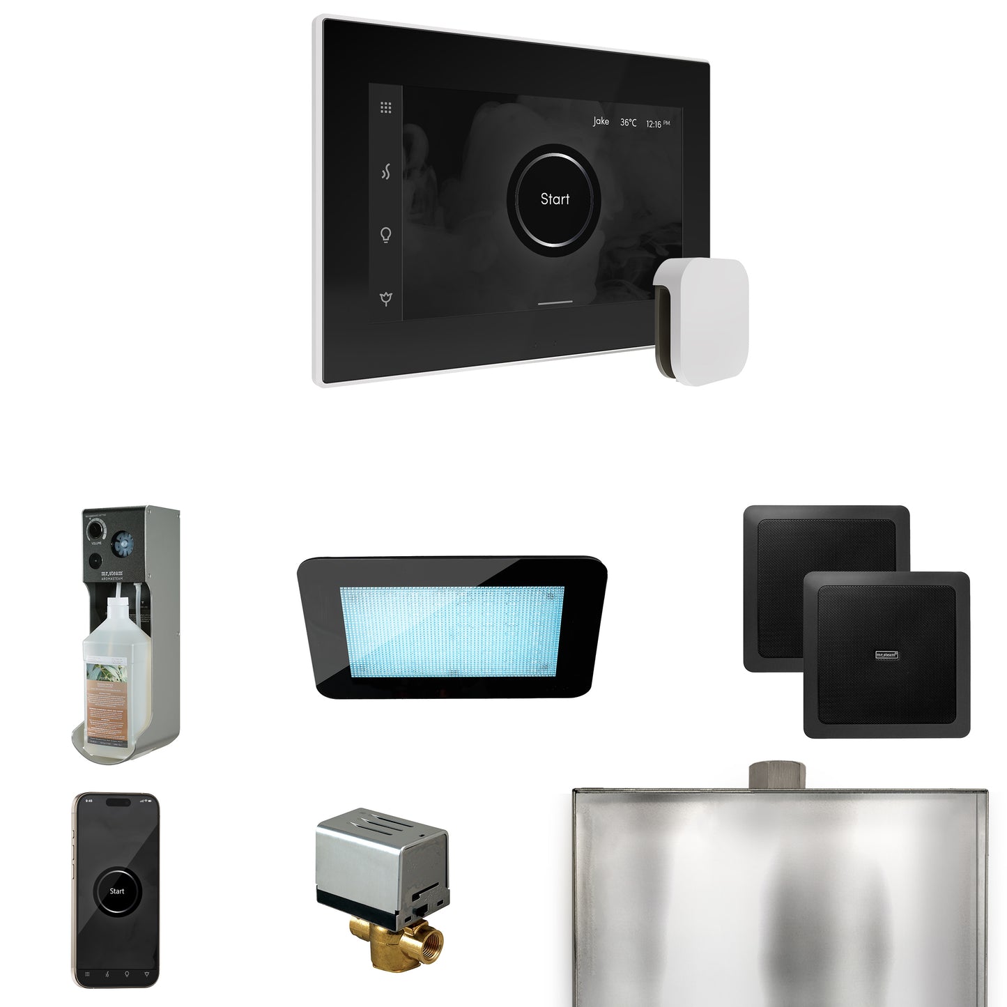 Mr. Steam XDRM2 XDream Steam Shower Control Package with iSteamX Control and Steamhead