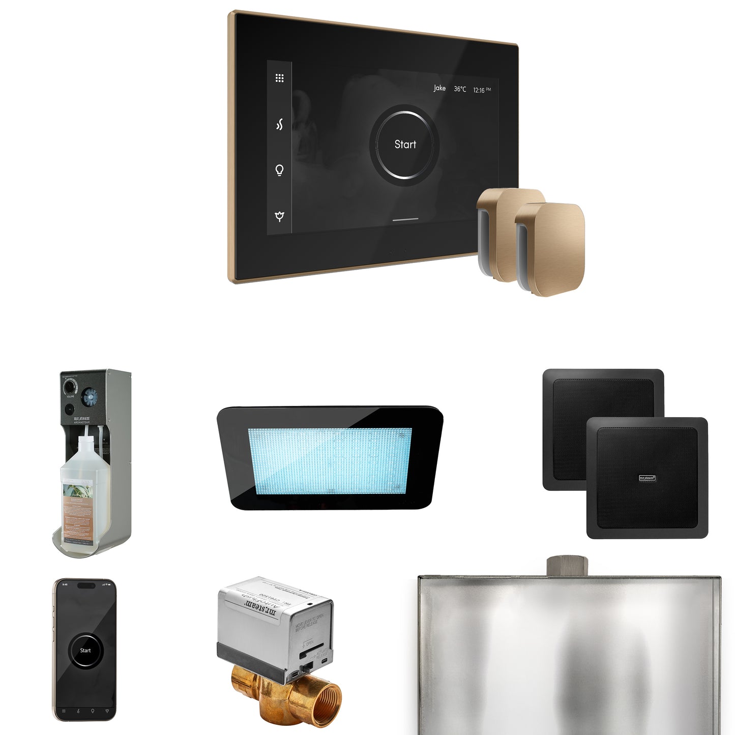 Mr. Steam XDRM2X XDream Max Steam Shower Control Package with iSteamX Control and Steamhead - Parent