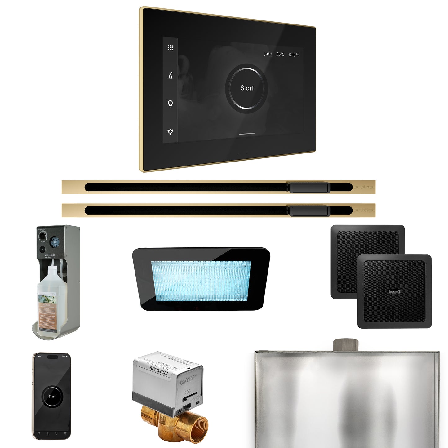 Mr. Steam XDRM2XL XDream Max Steam Shower Control Package with iSteamX Control and Linear Steamhead